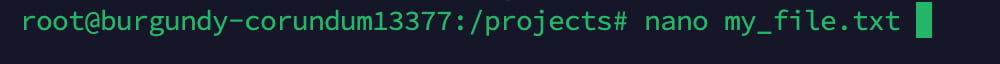 nano linux